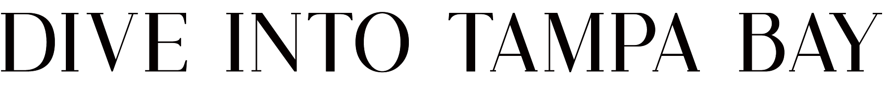 dive-into-tampa-bay.png