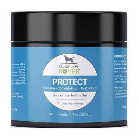 acid reflux remedy for dogs