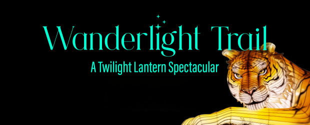 Wanderlight Trail